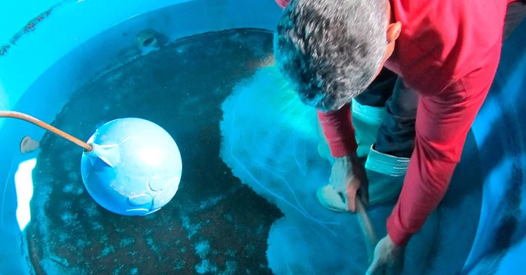 Limpeza de caixa de água em Capela do Socorro